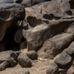 Archaeologists have found 1.8 million-year-old human settlement evidence and stone tools in Saudi Arabia’s Najran region.