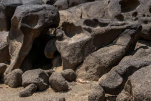 Archaeologists have found 1.8 million-year-old human settlement evidence and stone tools in Saudi Arabia’s Najran region.