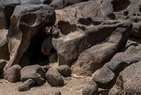 Archaeologists have found 1.8 million-year-old human settlement evidence and stone tools in Saudi Arabia’s Najran region.