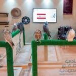 Soudia Falcon