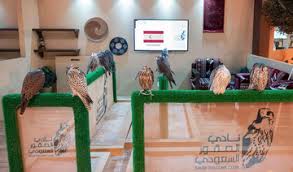 Soudia Falcon