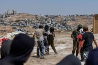 Israeli settlers attacked a US media team in the occupied West Bank, injuring two journalists and a Palestinian woman, the FPA said.