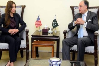 Pakistan and the US discuss trade, investment, DFC financing and cooperation in energy