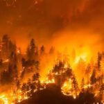 Over 20,000 Evacuated as Wildfire Triggers Emergency