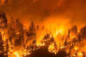 Over 20,000 Evacuated as Wildfire Triggers Emergency