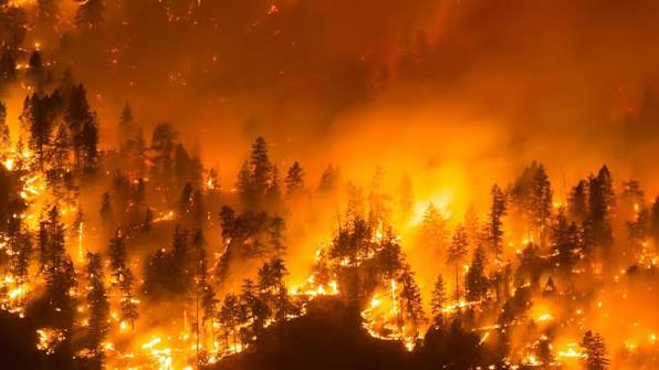Over 20,000 Evacuated as Wildfire Triggers Emergency