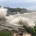 Typhoon Dolphin, Typhoon Dolphin China,