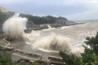 Typhoon Dolphin, Typhoon Dolphin China,