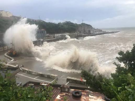 Typhoon Dolphin, Typhoon Dolphin China,