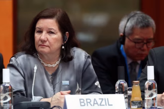 Brazilian Ambassador Maria Luiza Ribeiro Viotti during the diplomatic dispute between the United States and Brazil.
