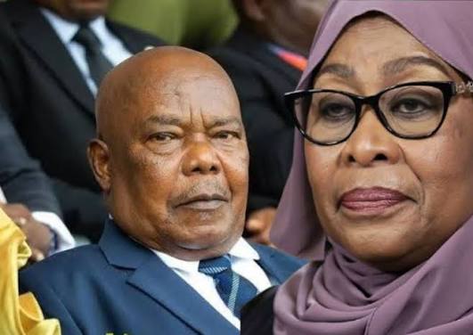 Hafidh Ameir Hassan, husband of Tanzania President Samia Suluhu Hassan and the country’s first First Gentleman, has died in Zanzibar.