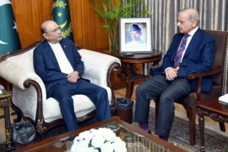 Pakistan forms a joint government-PPP committee to hold talks with PTI leadership on the country’s current political situation.